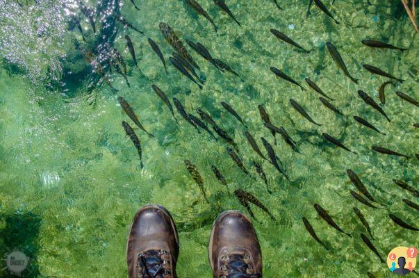 Laghi di Plitvice – Il paesaggio più surreale della Croazia