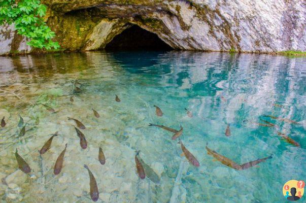 Plitvice Lakes – Croatia's most surreal landscape