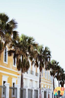 Porto Rico – Guide complet