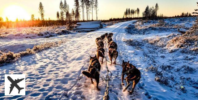 Quelle est la meilleure période pour visiter la Laponie ?