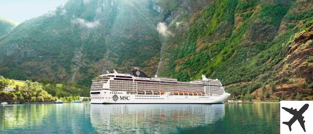 Croisière dans le fjord