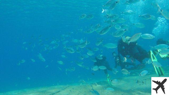 Plongée sous-marine à Fethiye