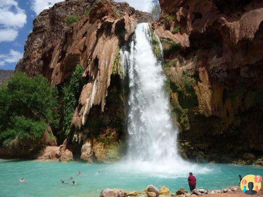 Grand Canyon : un guide complet du parc le plus célèbre d'Amérique