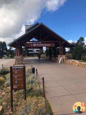 Grand Canyon : un guide complet du parc le plus célèbre d'Amérique