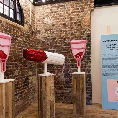 Le premier musée du vagin ouvre à Camden Londres