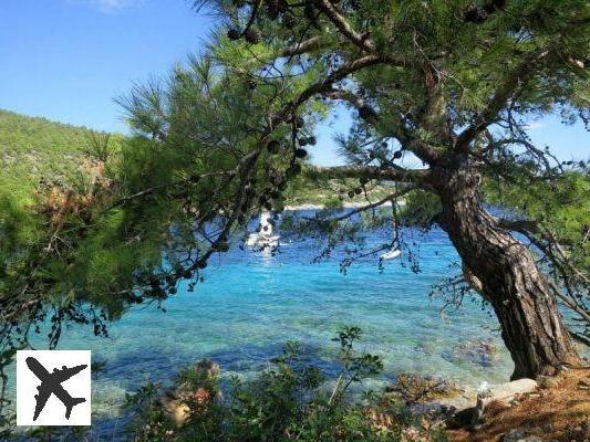 bodrum catamaran boite de nuit