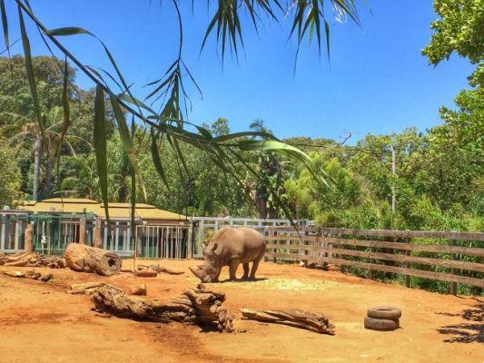 Les 10 zoos les plus incroyables du monde