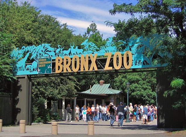 The 10 Most Incredible Zoos in the World