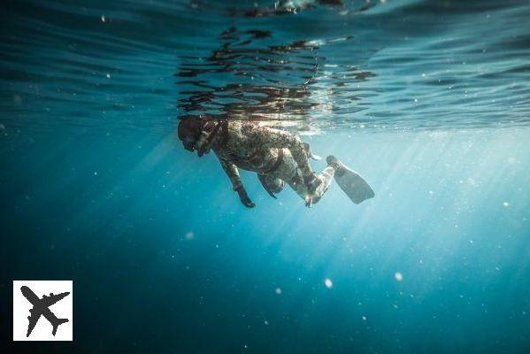 Les 8 meilleurs spots où faire de la plongée en Colombie