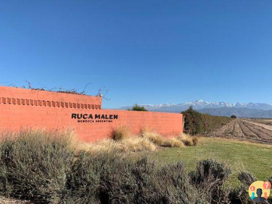 Bodegas en Mendoza que no te puedes perder