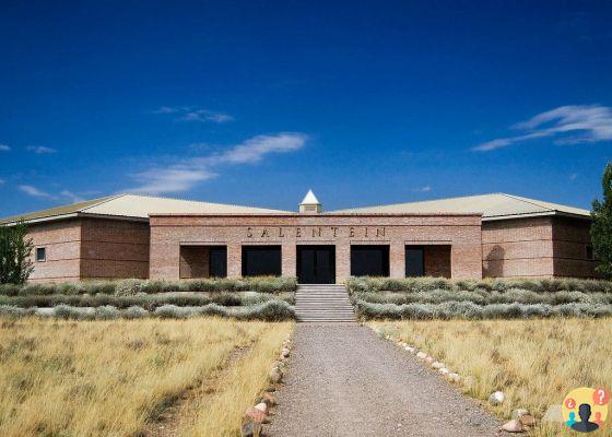 Bodegas en Mendoza que no te puedes perder