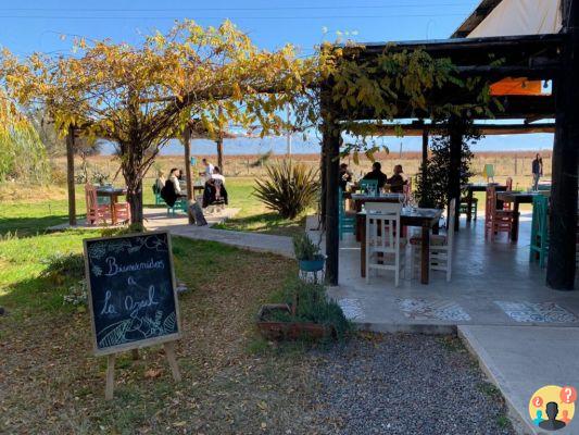 Cantine a Mendoza da non perdere