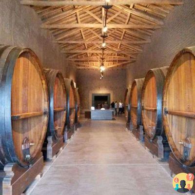 Cantine a Mendoza da non perdere