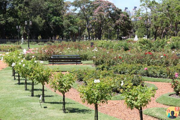 Atractivos turísticos de Buenos Aires – Los 25 imperdibles de la capital