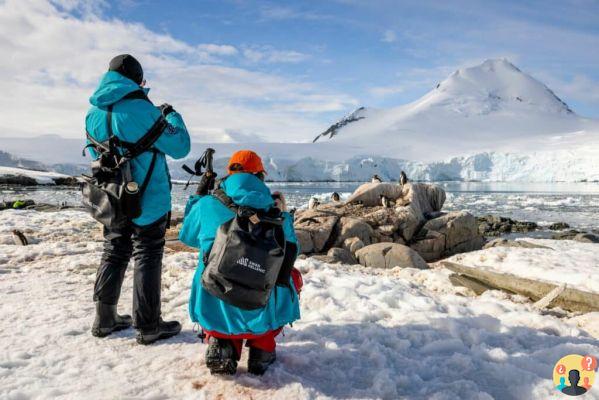 Swan Hellenic Cruises – Viaje en barco a la Antártida