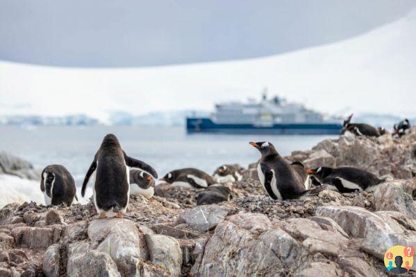 Swan Hellenic Cruises – Viaje en barco a la Antártida