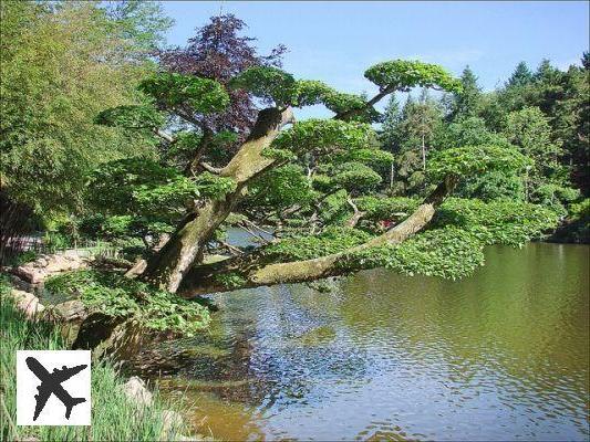 Parc de Maulévrier: le plus grand parc japonais en Europe