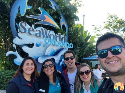 SeaWorld Orlando – Guide complet du parc