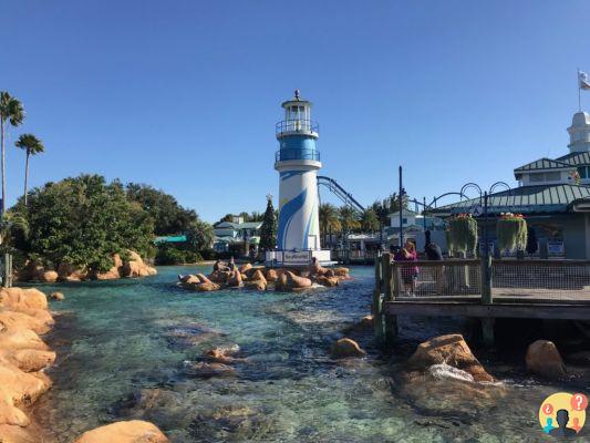 SeaWorld Orlando – Guía completa del parque