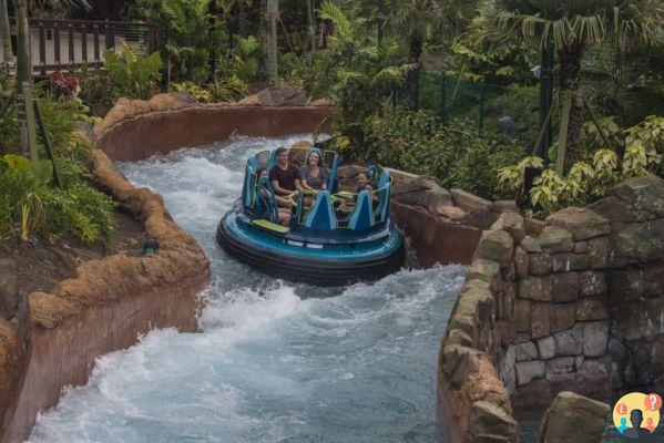 SeaWorld Orlando – Guida completa al parco