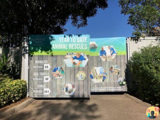 SeaWorld Orlando – Guida completa al parco