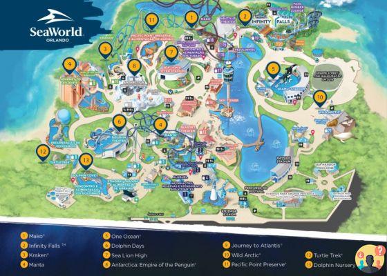 SeaWorld Orlando – Complete Park Guide