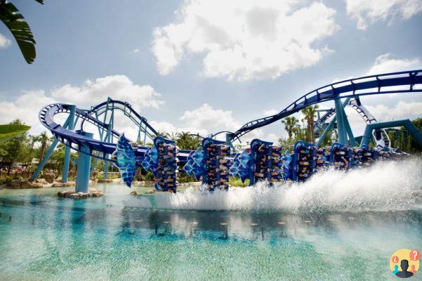 SeaWorld Orlando – Guida completa al parco