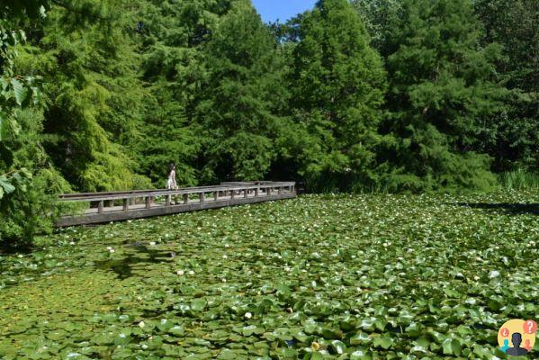 Vancouver: todo lo que necesita saber antes de viajar