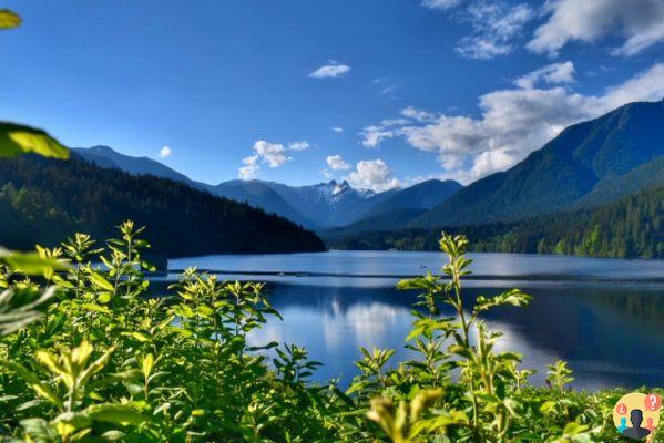 Vancouver: todo lo que necesita saber antes de viajar