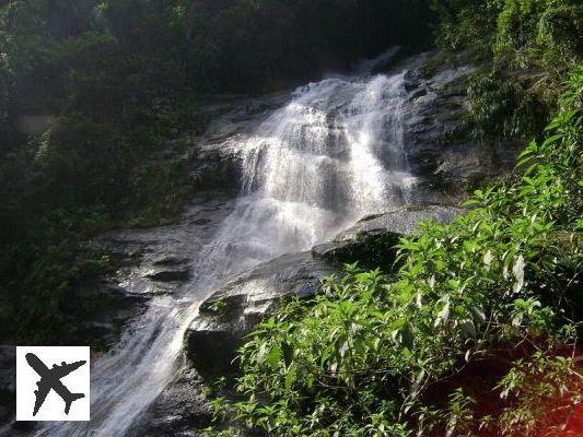 Caminata en el pico Tijuca, el pico más alto de Río.