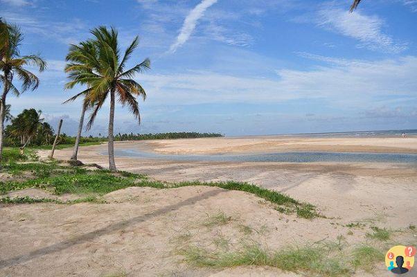 Les meilleures plages du Nord-Est