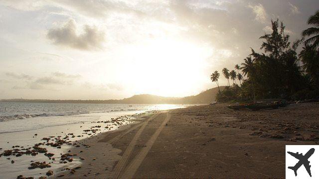 Las mejores playas del noreste