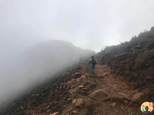 Choquequirao and the trail to the lost city