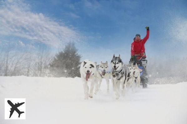 9 endroits où faire du chien de traîneau dans les Pyrénées