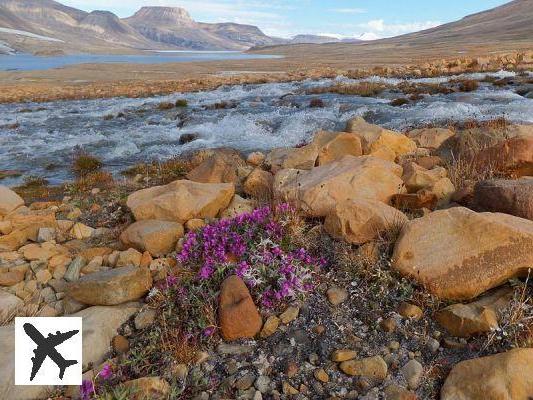 Les 10 plus grandes îles du monde