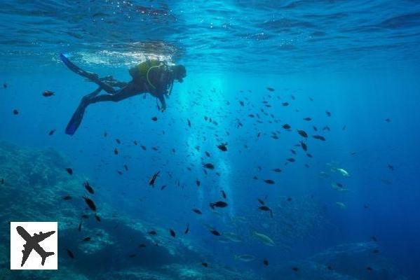 Les 9 meilleurs spots où faire de la plongée en Corse