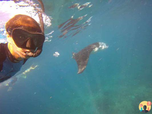 La guía completa de Nusa Lembongan, Nusa Ceningan y Nusa Penida, en Bali