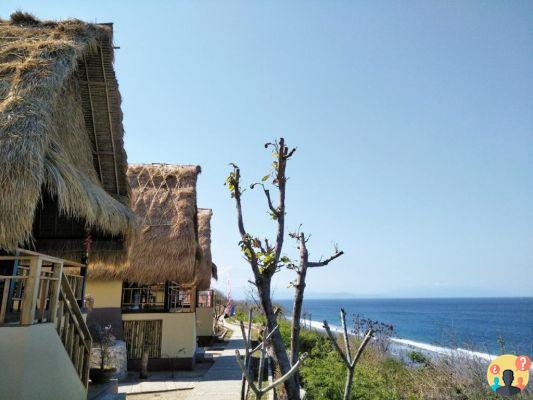 Le guide complet de Nusa Lembongan, Nusa Ceningan et Nusa Penida, à Bali