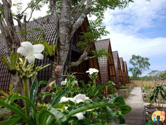 O guia completo de Nusa Lembongan, Nusa Ceningan e Nusa Penida, em Bali