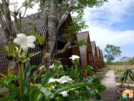 O guia completo de Nusa Lembongan, Nusa Ceningan e Nusa Penida, em Bali