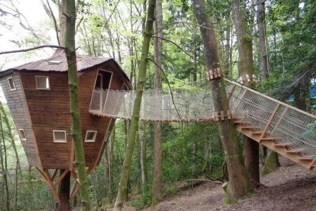 Les 9 plus belles cabanes dans les arbres en Bretagne