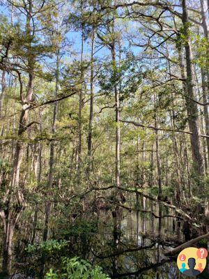 Sebring – Guide de ce qu'il faut faire, où manger et où se loger