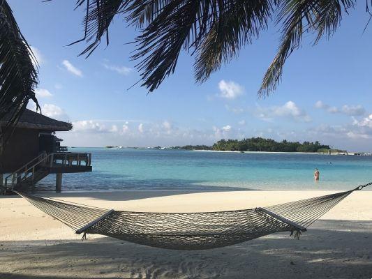 When to go to Maldives? Best season, climate and local time