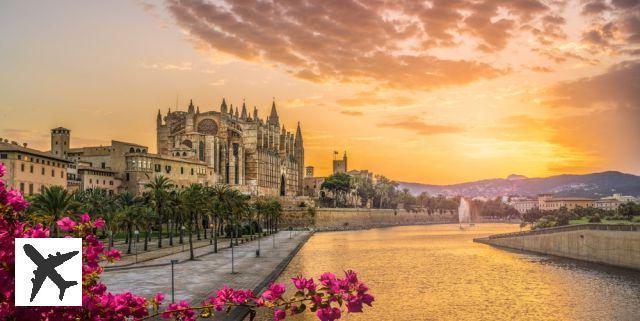 Visit Palma Cathedral: tickets, prices, timetables