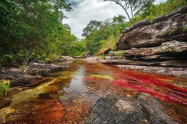 Caño Cristales, la « rivière aux 5 couleurs » de Colombie