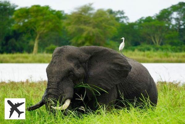 Les 13 plus beaux endroits à visiter au Malawi