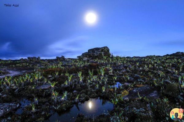 Trekking au Monte Roraima