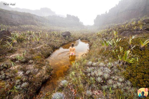 Trekking au Monte Roraima