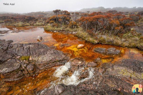 Trekking au Monte Roraima