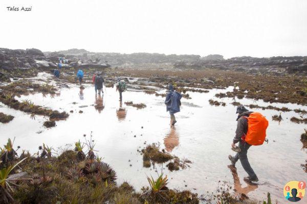 Trekking au Monte Roraima